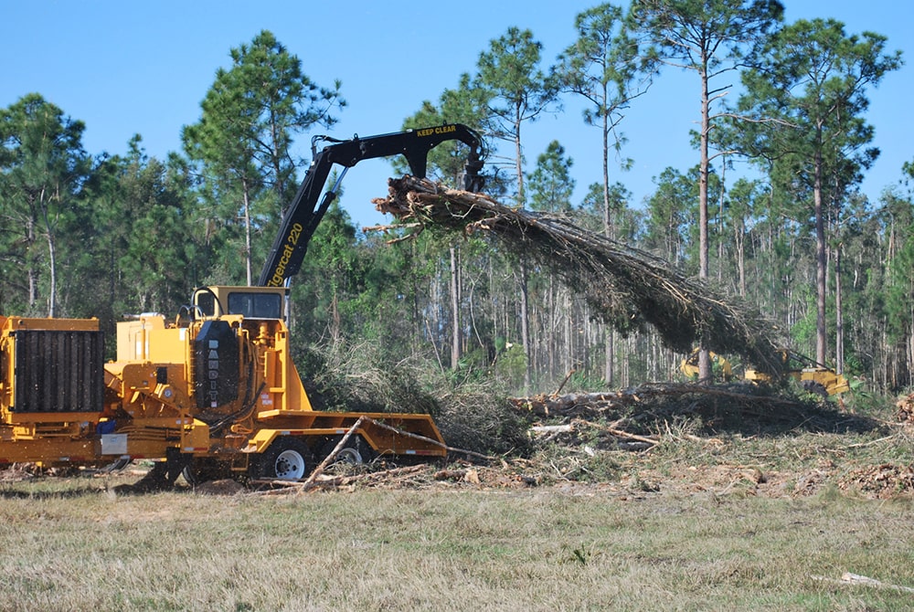 removing trees using yellow machinery on treads